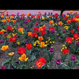 Meet your Posher, Saundra